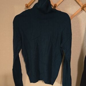 Express Deep Blue Turtleneck Sweater